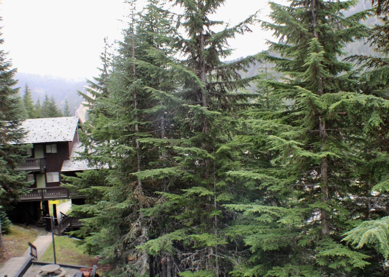Crystal Chalets Greenwater Zewnętrze zdjęcie