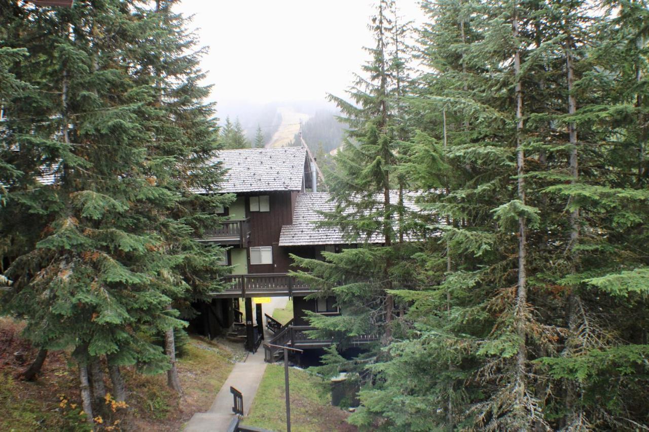 Crystal Chalets Greenwater Zewnętrze zdjęcie